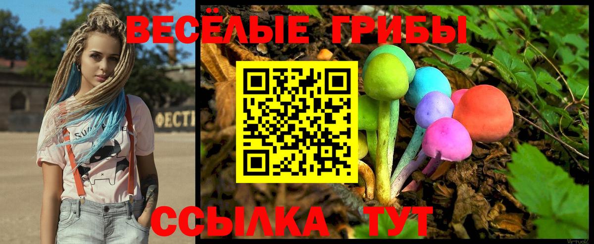 Псилоцибиновые грибы MAGIC MUSHROOMS  Псилоцибиновые грибы ЛСД  Отрадное  закладка  Вход с VPN 